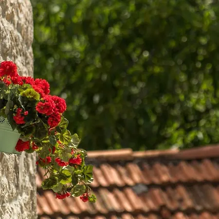 Godinj Casa vacanze